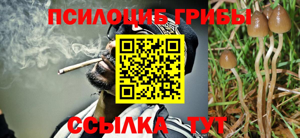 наркошоп  Вход с VPN  Егорьевск  Псилоцибиновые грибы Psilocybe 
